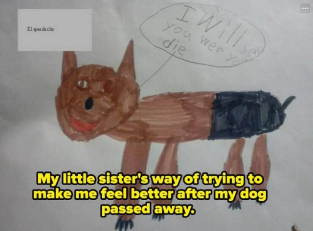 Funny Fails (17 pics)