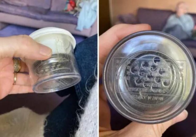 What Are These Things? (26 pics)