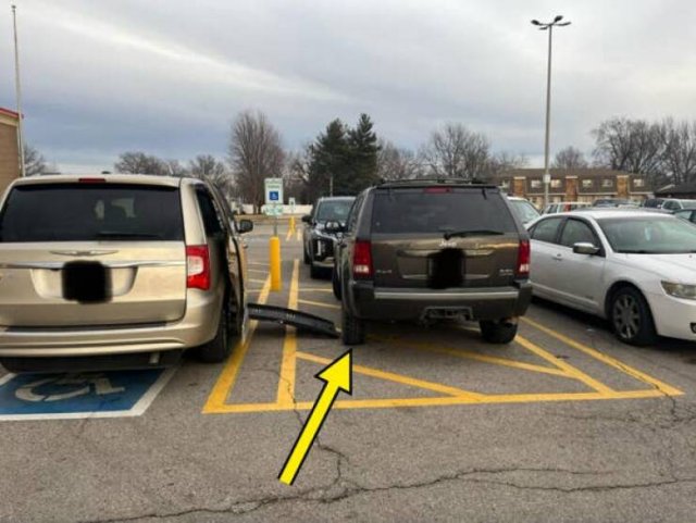 Annoying People (18 pics)