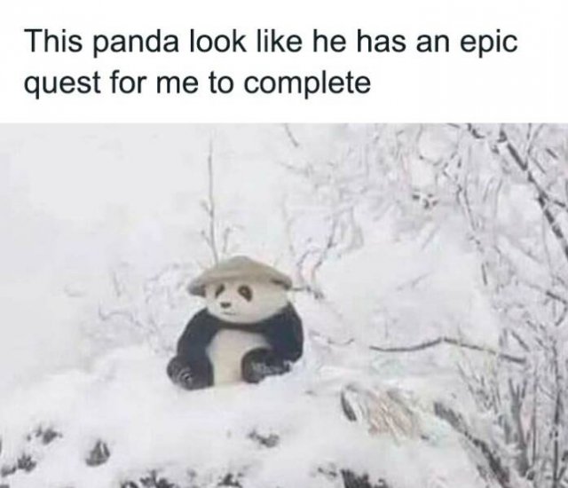 Male Humor (22 pics)