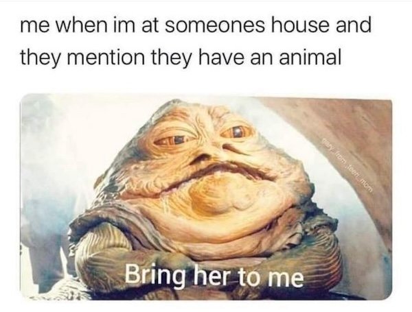 Memes For Movie Fans (26 pics)