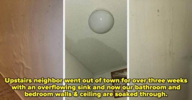 Terrible Neighbors (19 pics)