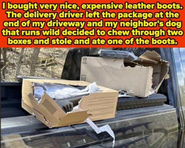 Terrible Neighbors (19 pics)