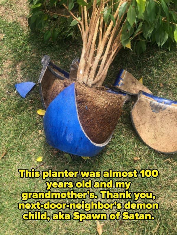 Terrible Neighbors (19 pics)
