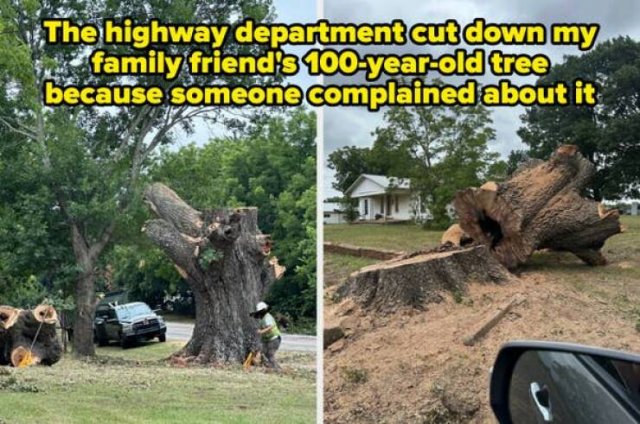 Terrible Neighbors (19 pics)