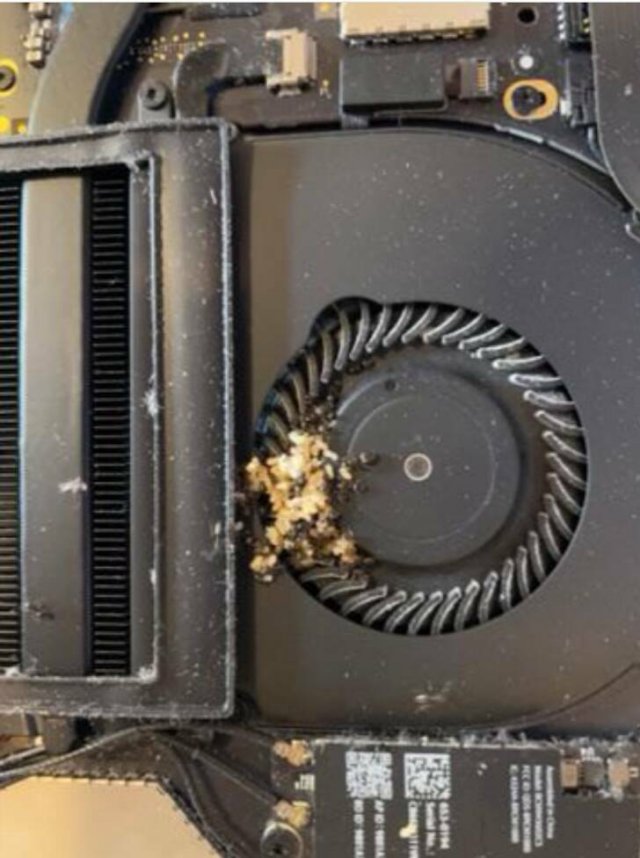 Fails With Gadgets (15 pics)