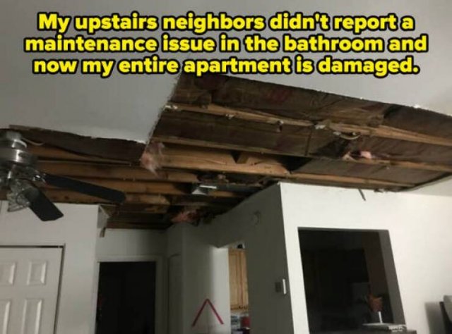 Terrible Neighbors (19 pics)