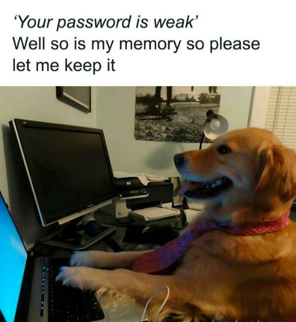 Funny Memes (23 pics)
