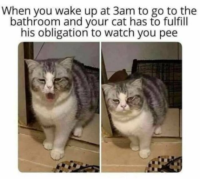 Random Jokes (22 pics)