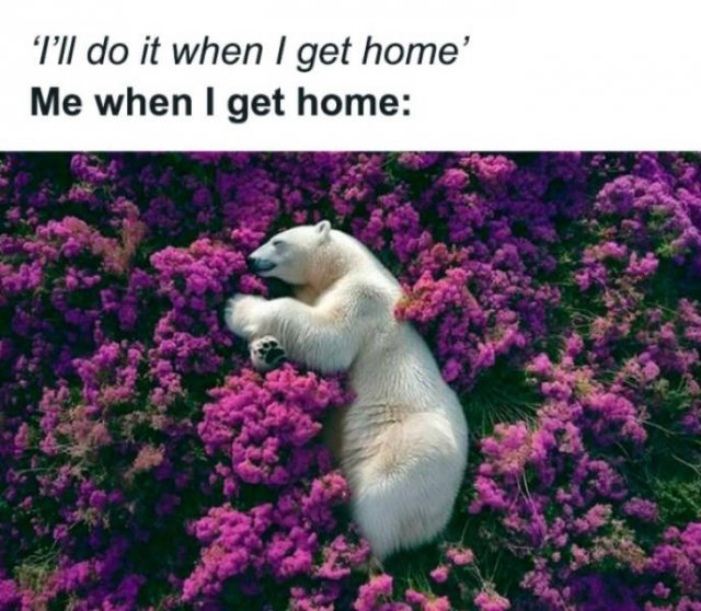 Funny Memes (23 pics)