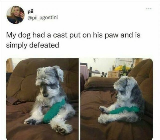Random Jokes (22 pics)