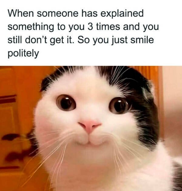Funny Memes (23 pics)