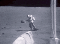 Interesting Facts (15 gifs) Interesting Facts (15 gifs)