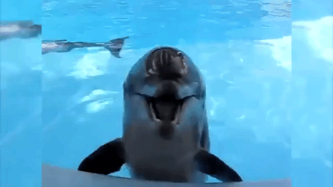 Interesting Facts (15 gifs) Interesting Facts (15 gifs)