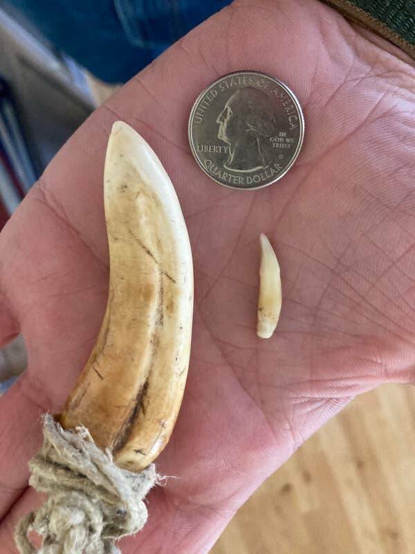 Interesting Finds And Discoveries (24 pics)