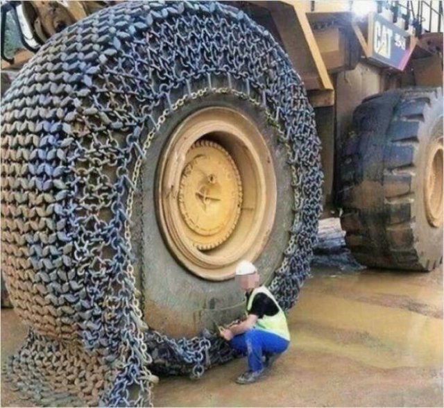 Interesting Finds And Discoveries (24 pics)