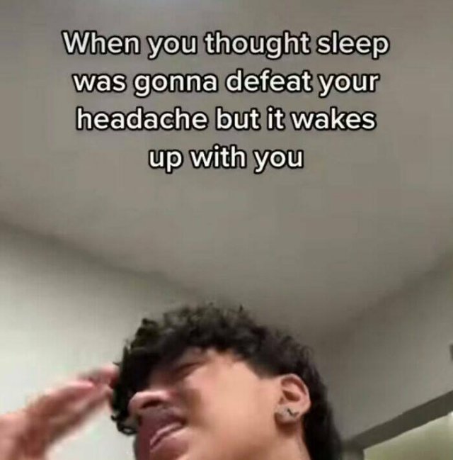 Truthful Memes (26 pics)