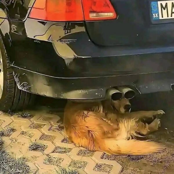 What Is Going On Here? (14 pics)