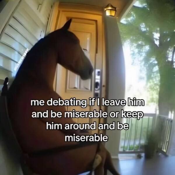 Truthful Memes (26 pics)