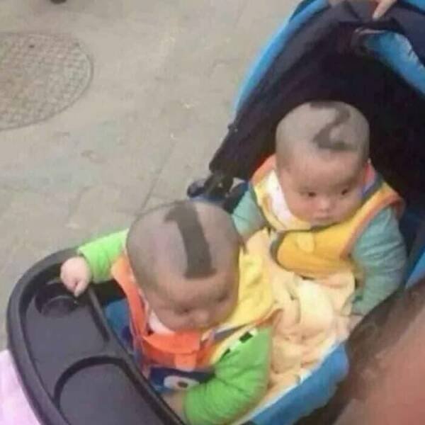 What Is Going On Here? (14 pics)
