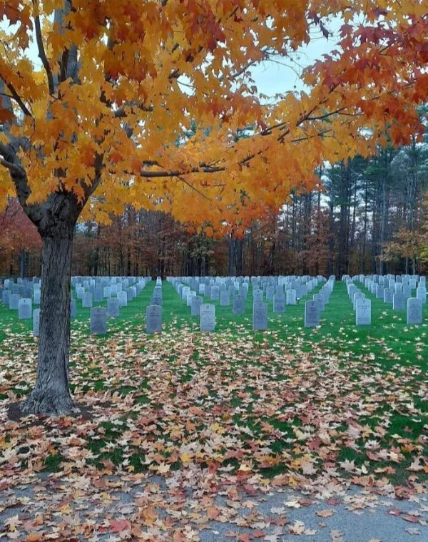 Optical Illusions (25 pics)