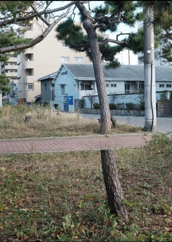 Optical Illusions (25 pics)