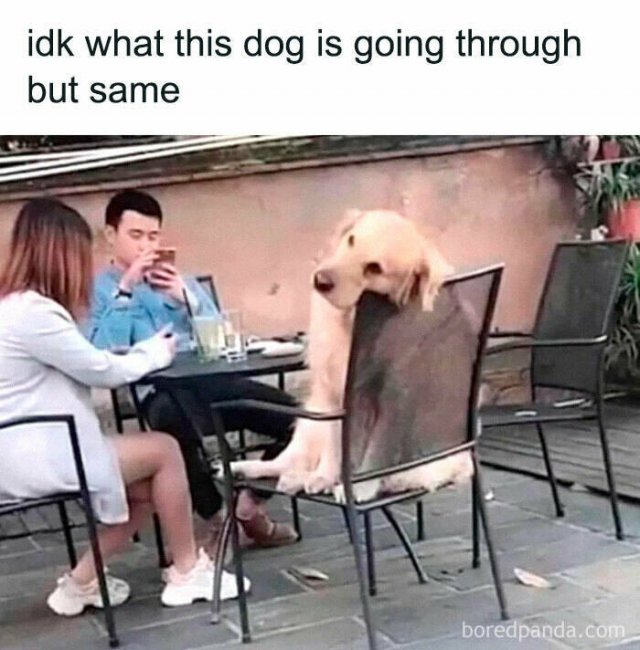Funny Memes (25 pics)