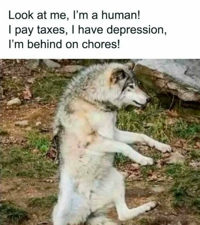 Funny Memes (25 pics)