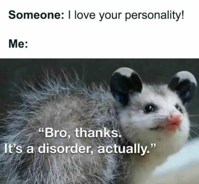 Funny Memes (25 pics)