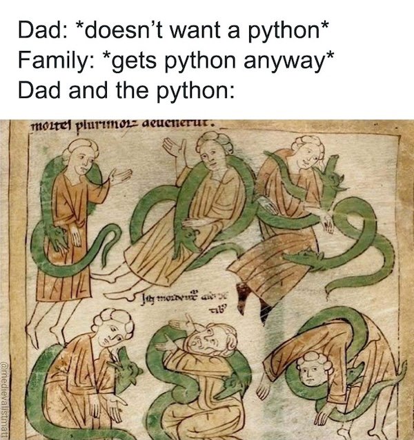Medieval Memes (26 pics)