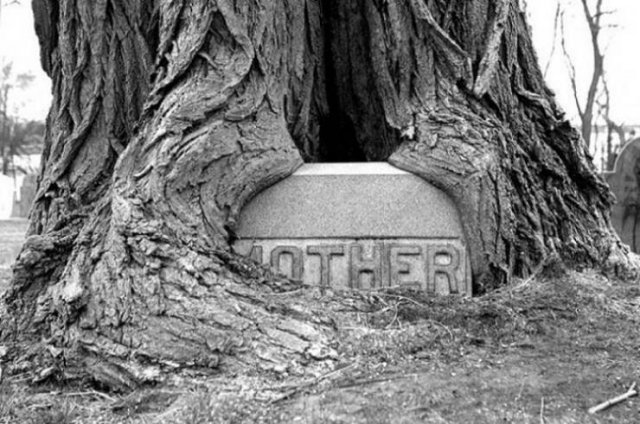 Time Changes Everything (25 pics)