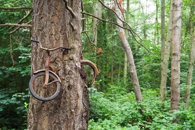 Time Changes Everything (25 pics)