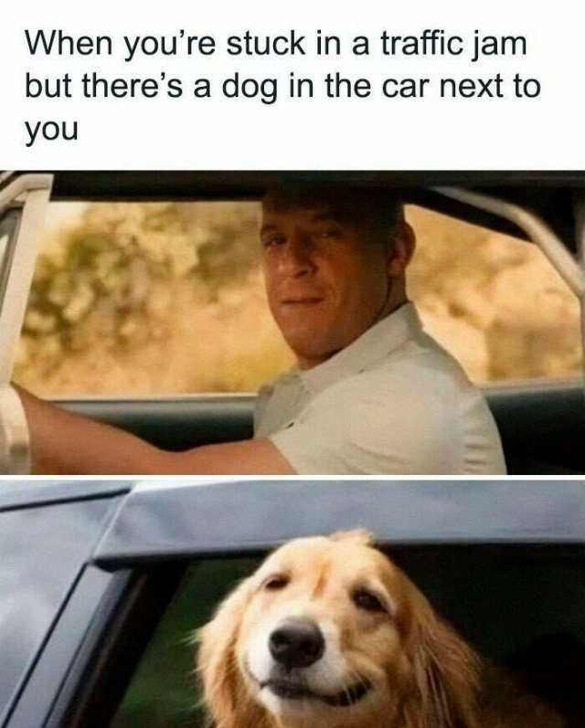 Kind Jokes (23 pics)
