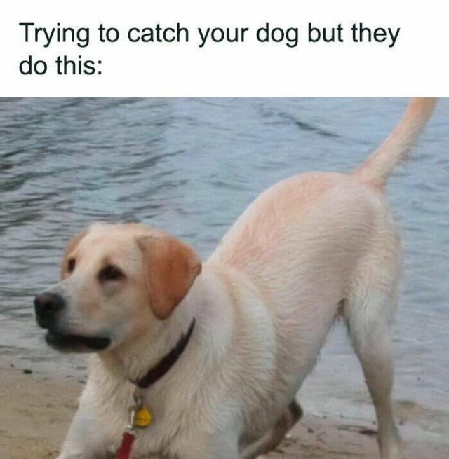 Kind Jokes (23 pics)