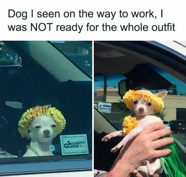 Kind Jokes (23 pics)