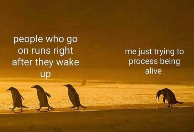 Truthful Jokes (19 pics)