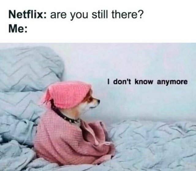 Truthful Jokes (19 pics)