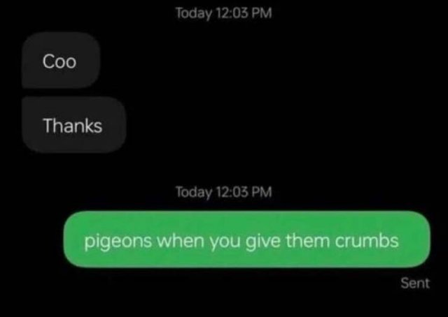 Funny Texts (20 pics)