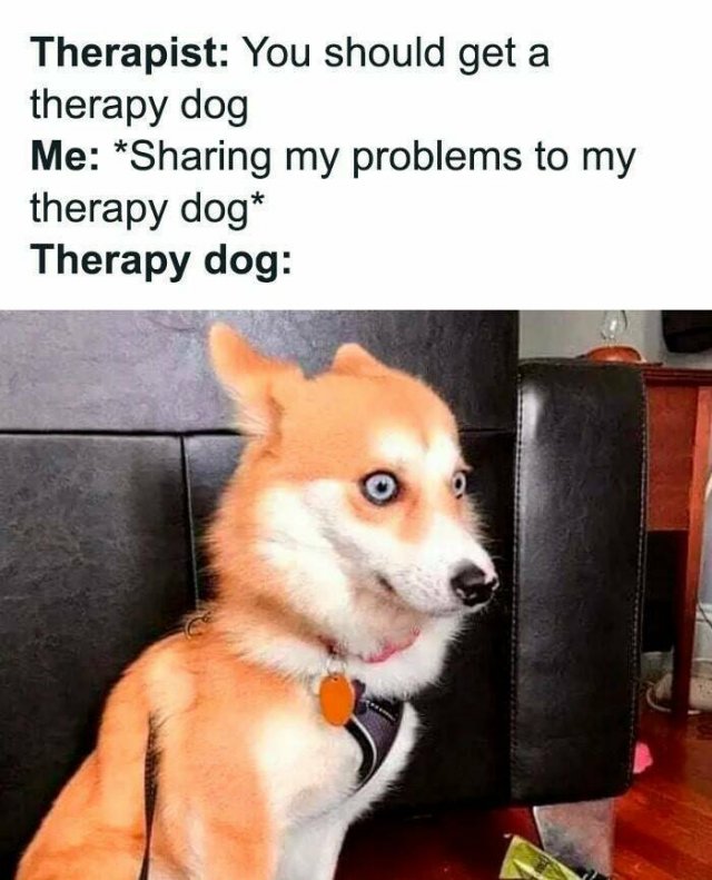 Truthful Jokes (19 pics)