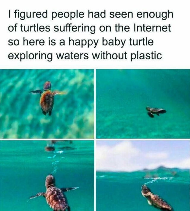 Kind Jokes (23 pics)