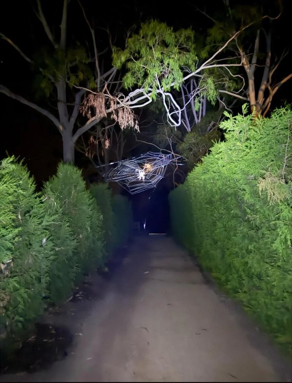 Creepy Photos (22 pics)