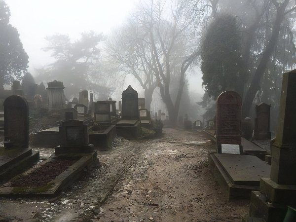 Creepy Photos (22 pics)