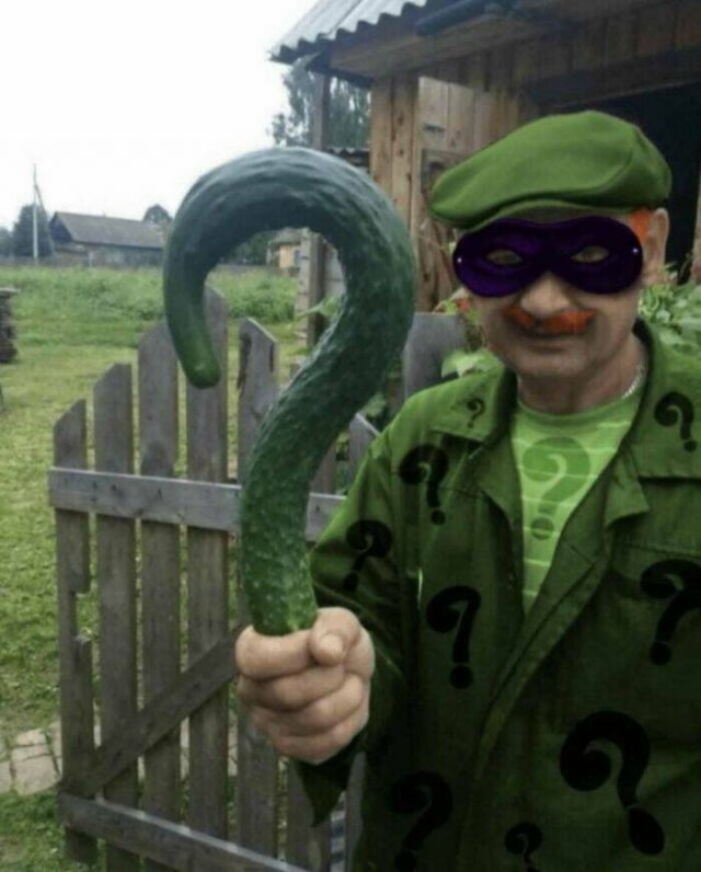 What Is Going On Here? (19 pics)