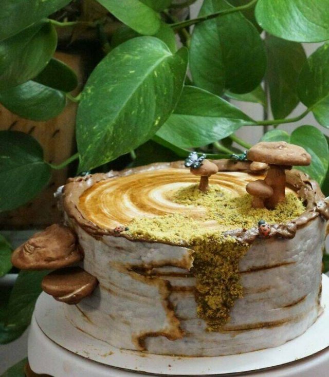 Perfect Cakes For Perfectionists (25 pics)