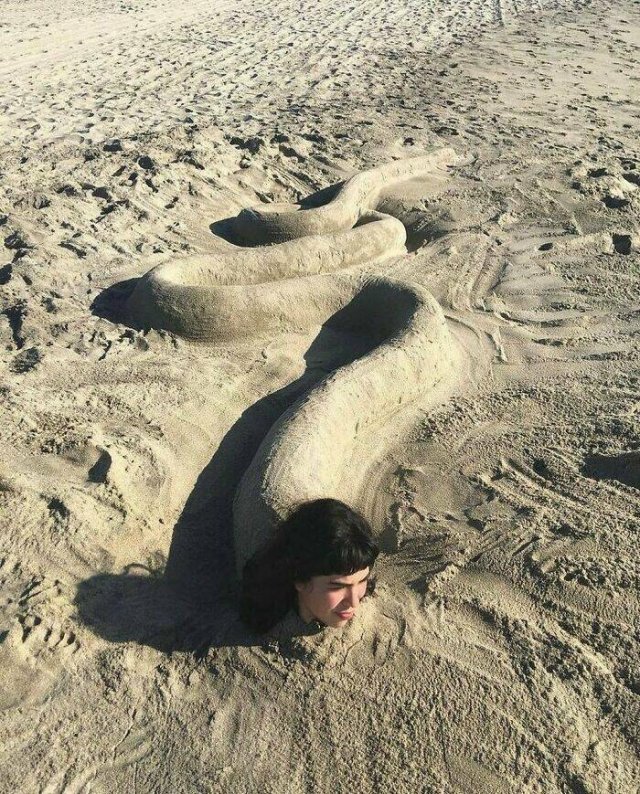What Is Going On Here? (19 pics)