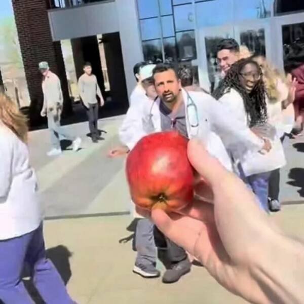 What Is Going On Here? (19 pics)