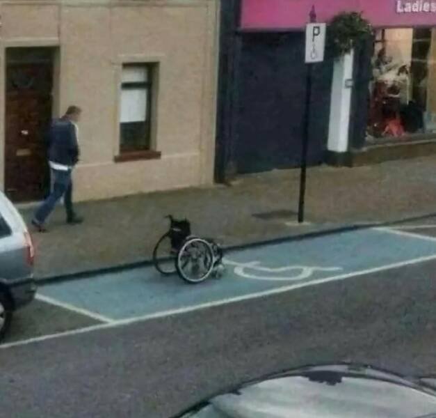 What Is Going On Here? (19 pics)