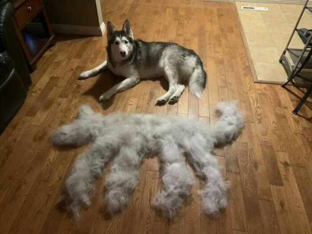 Funny Boyfriends And Husbands (24 pics)