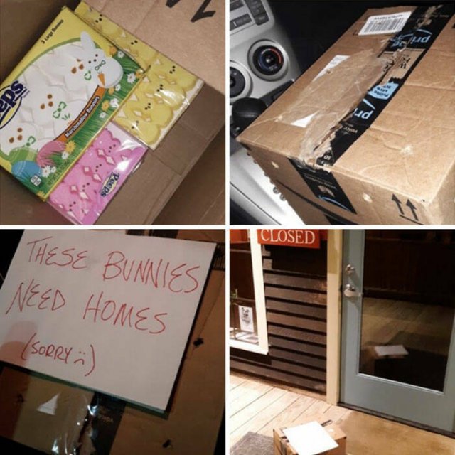 Cool And Funny Coworkers (21 pics)