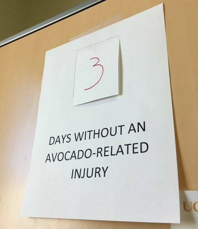 Cool And Funny Coworkers (21 pics)